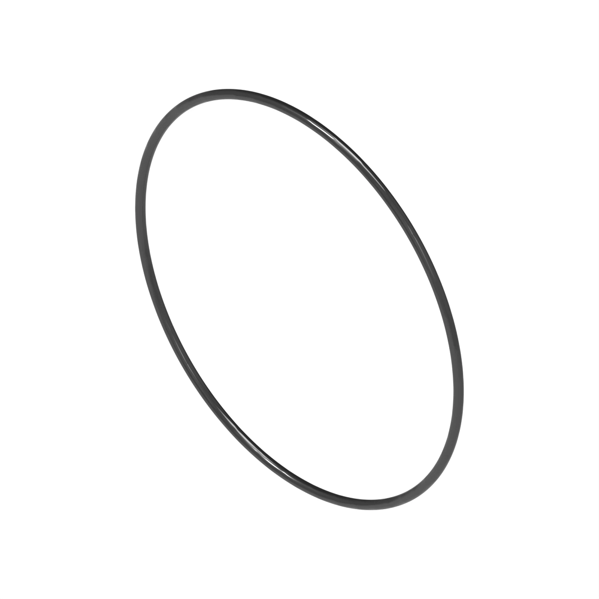 O-Ring 3.00 X 123.83
