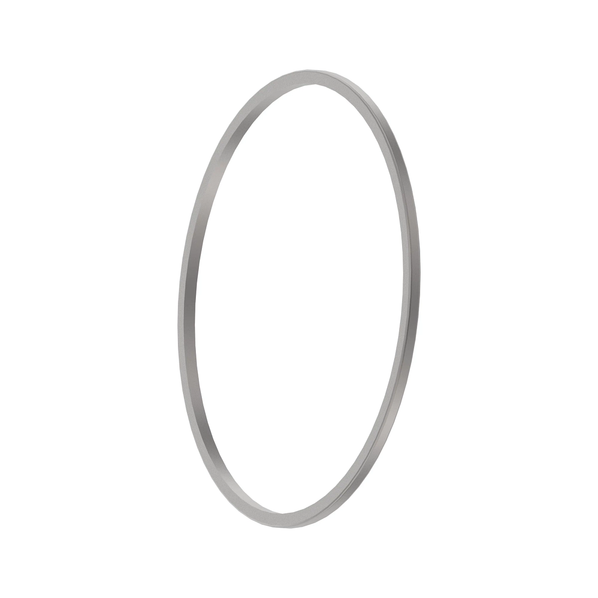 Back up Ring