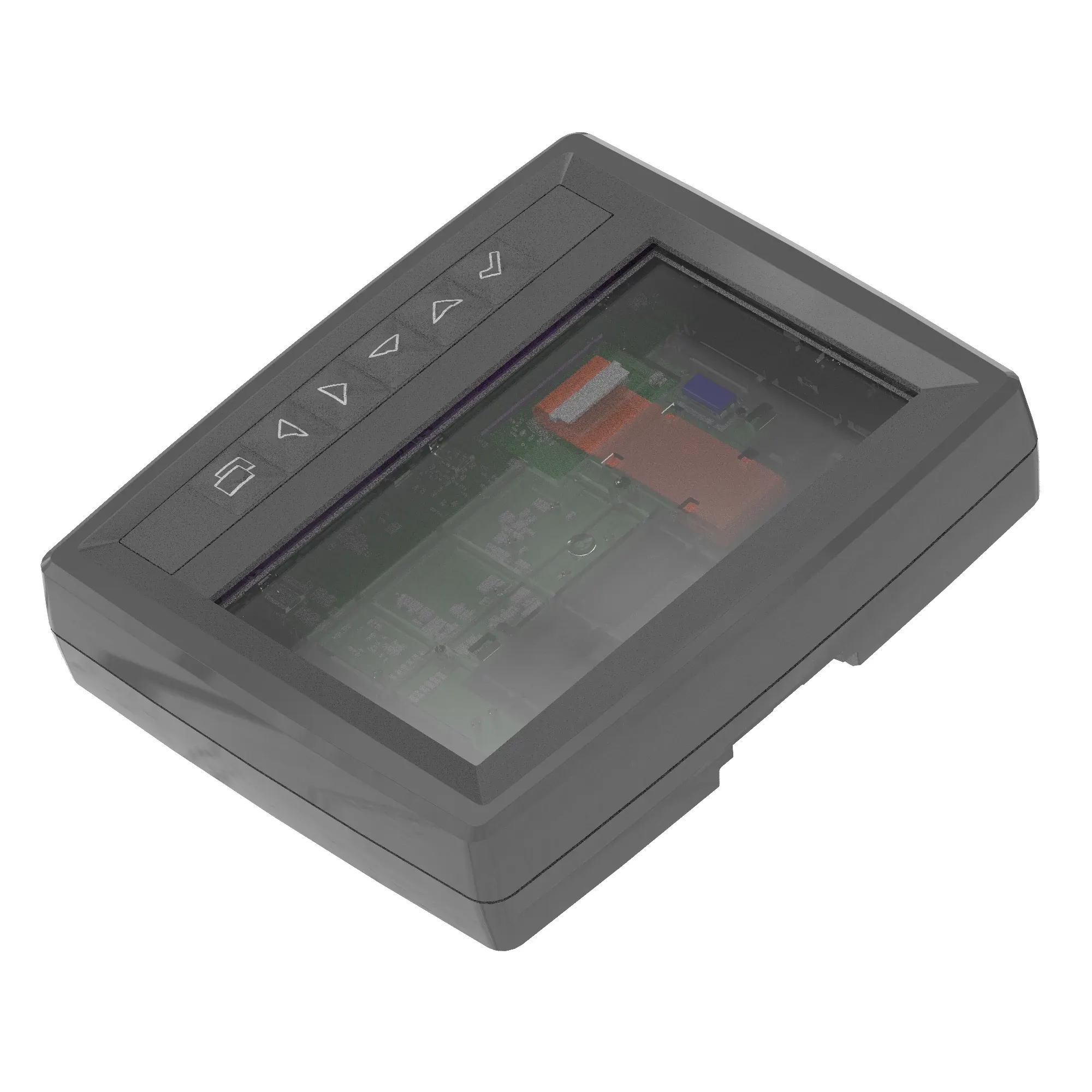 Display Module
