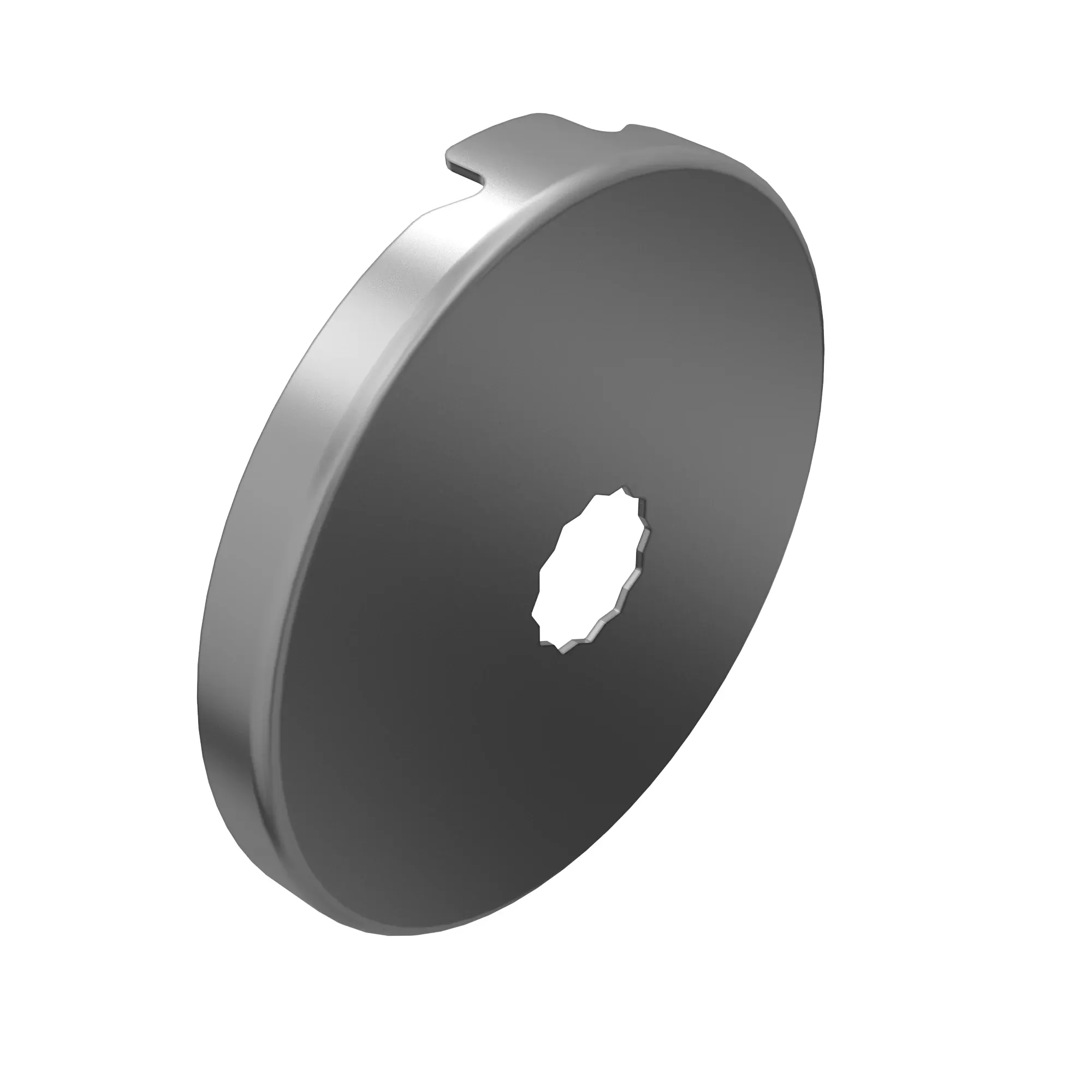 PLATE, AXLE LOCK