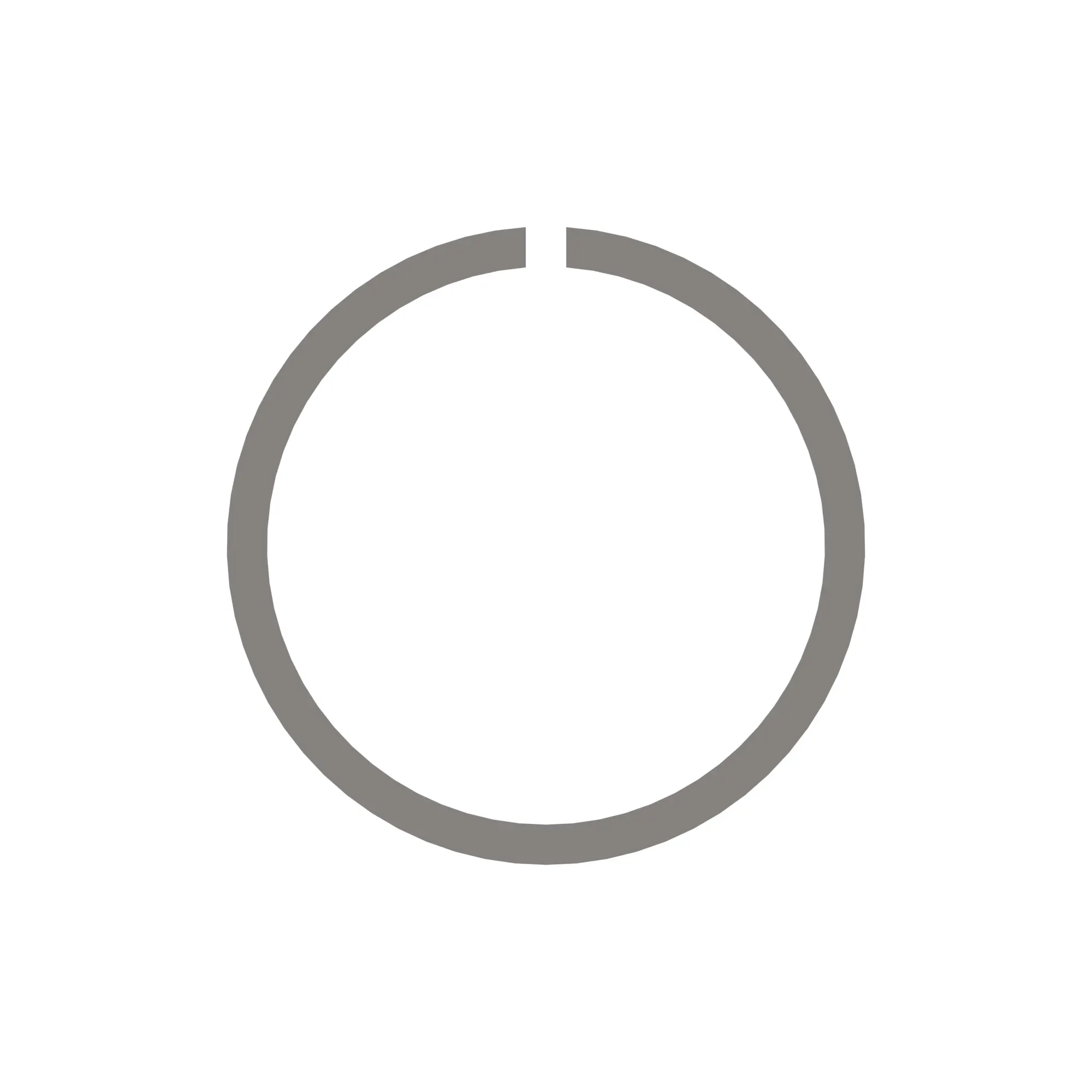 Snap Ring