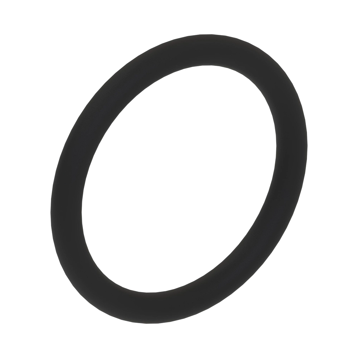 O-Ring, 19.5 X 2.5
