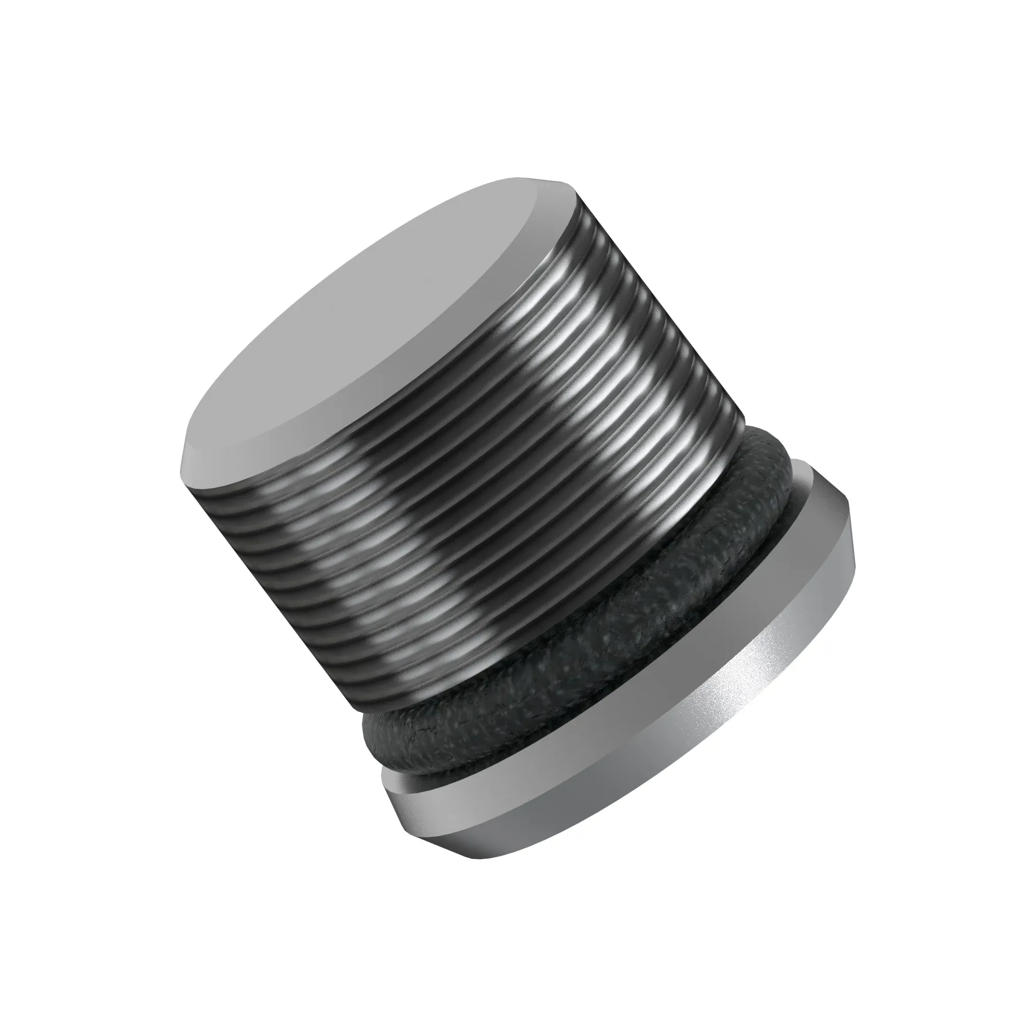 Fitting Plug