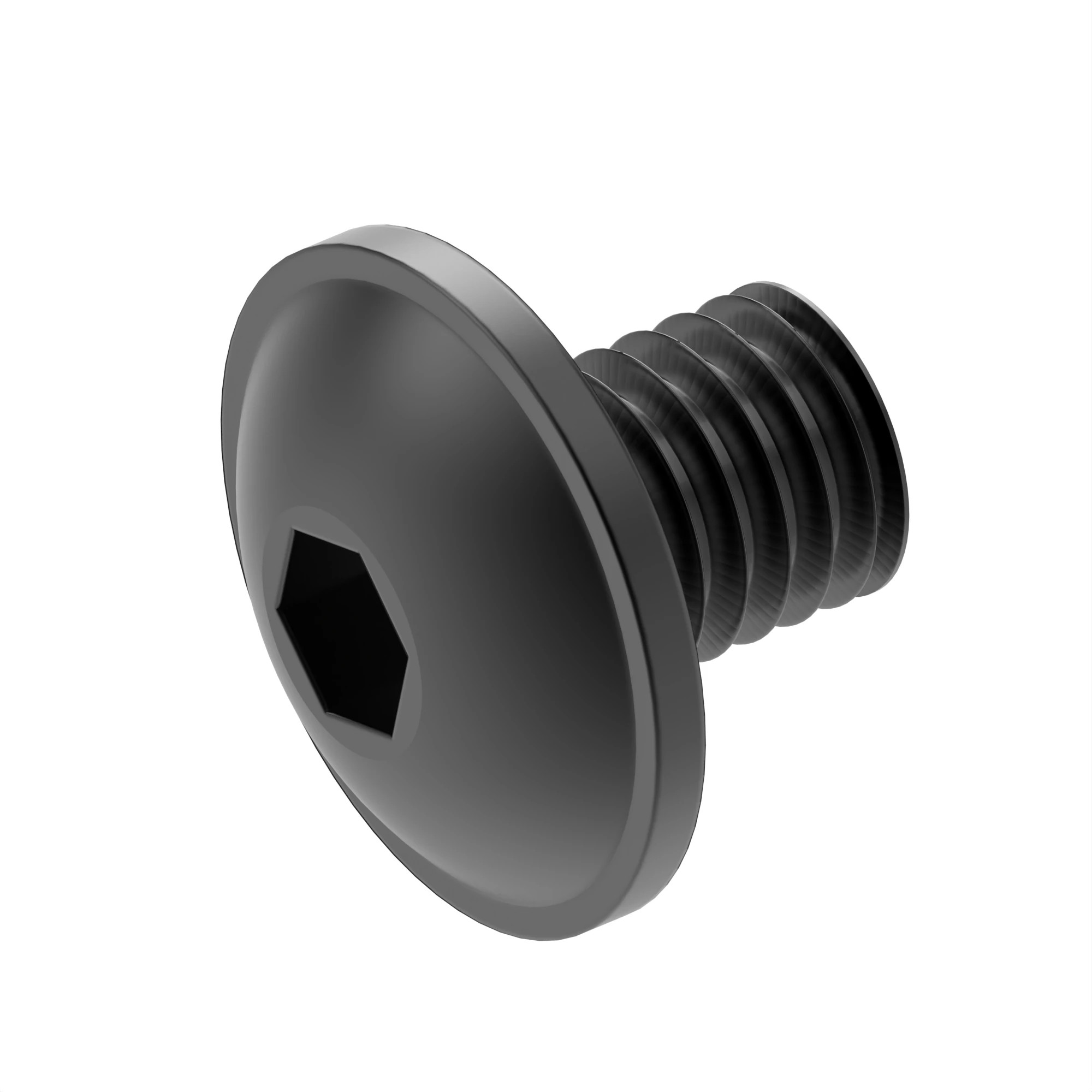 OVAL HEAD CAP SCREW M5X6 LAN999