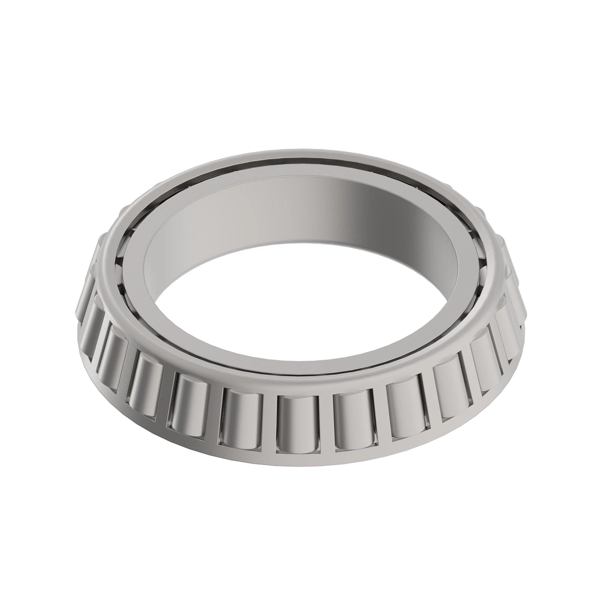 Cone-Bearing