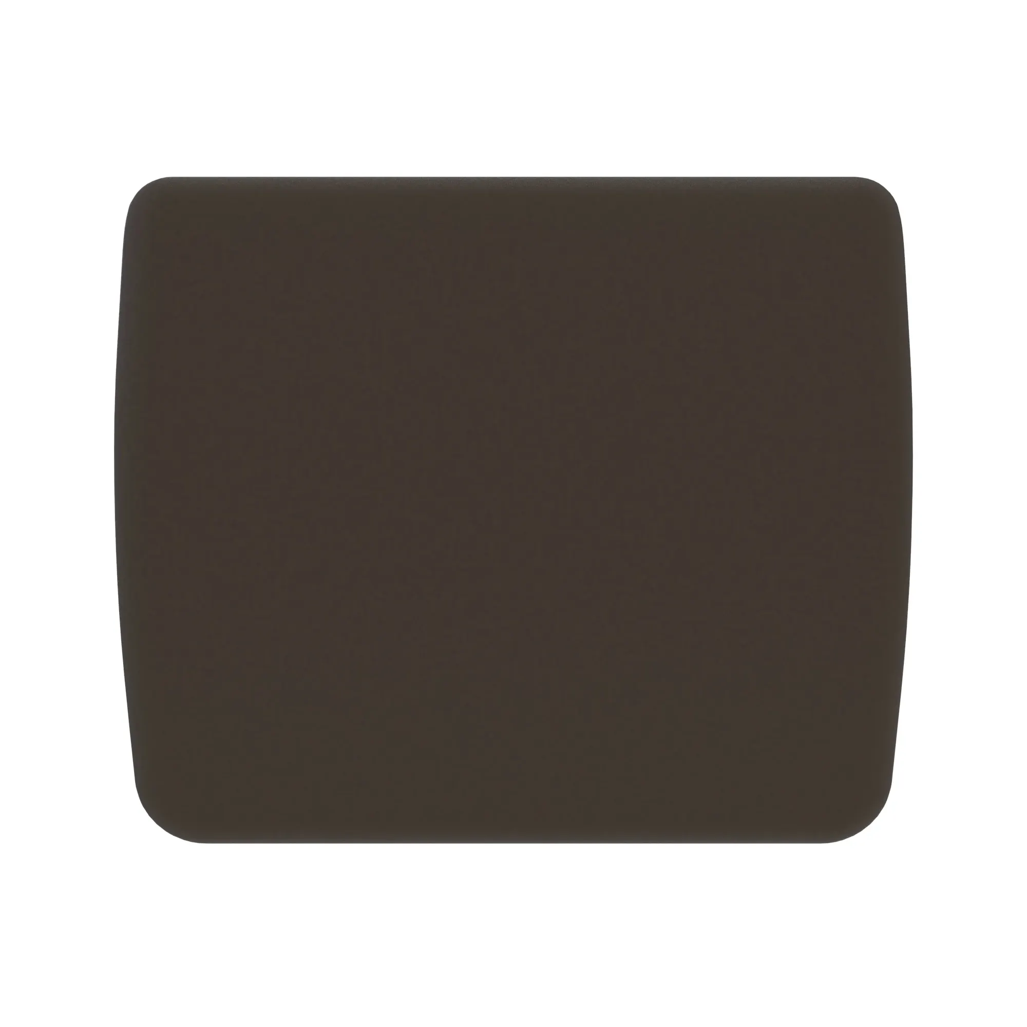 CUSHION, PASSENGER BACKREST ASSY