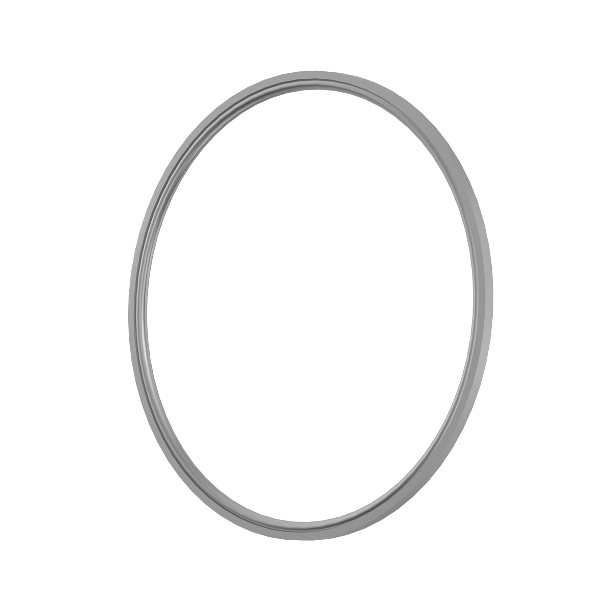 Piston Ring With O-Ring