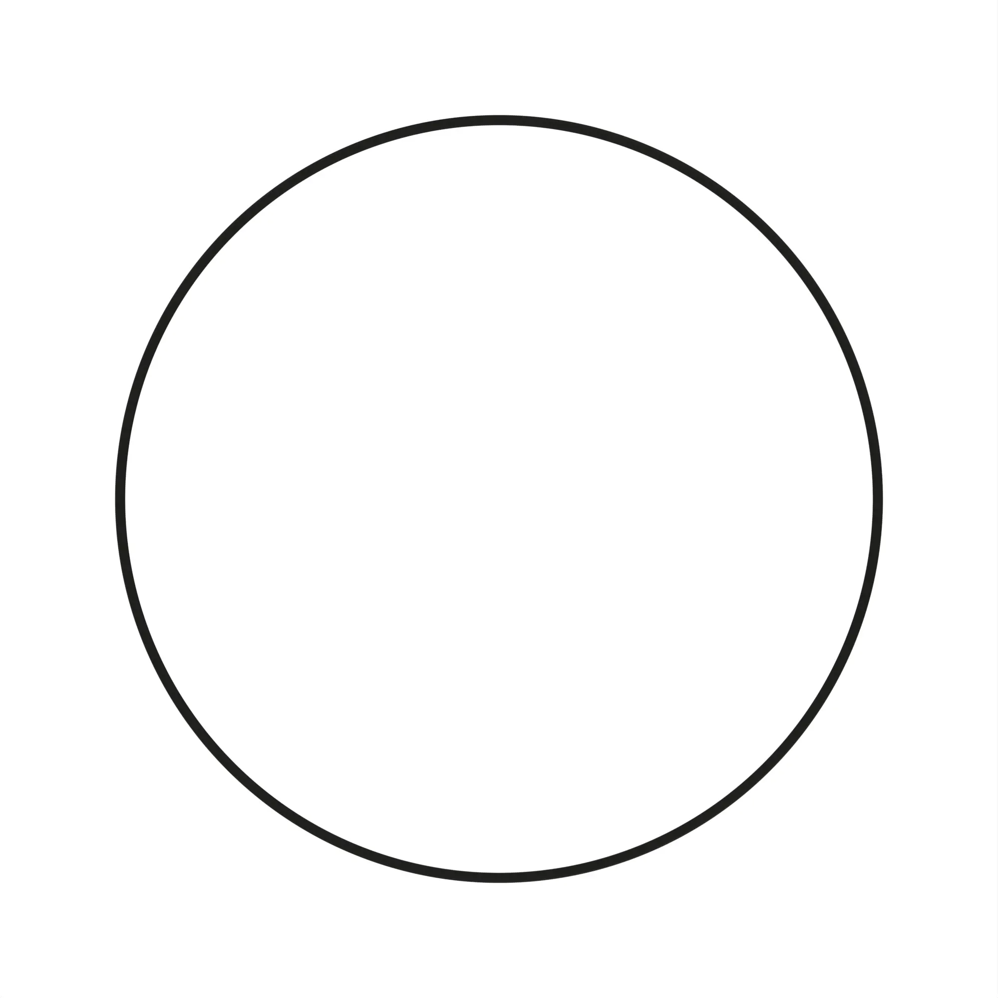 O-RING