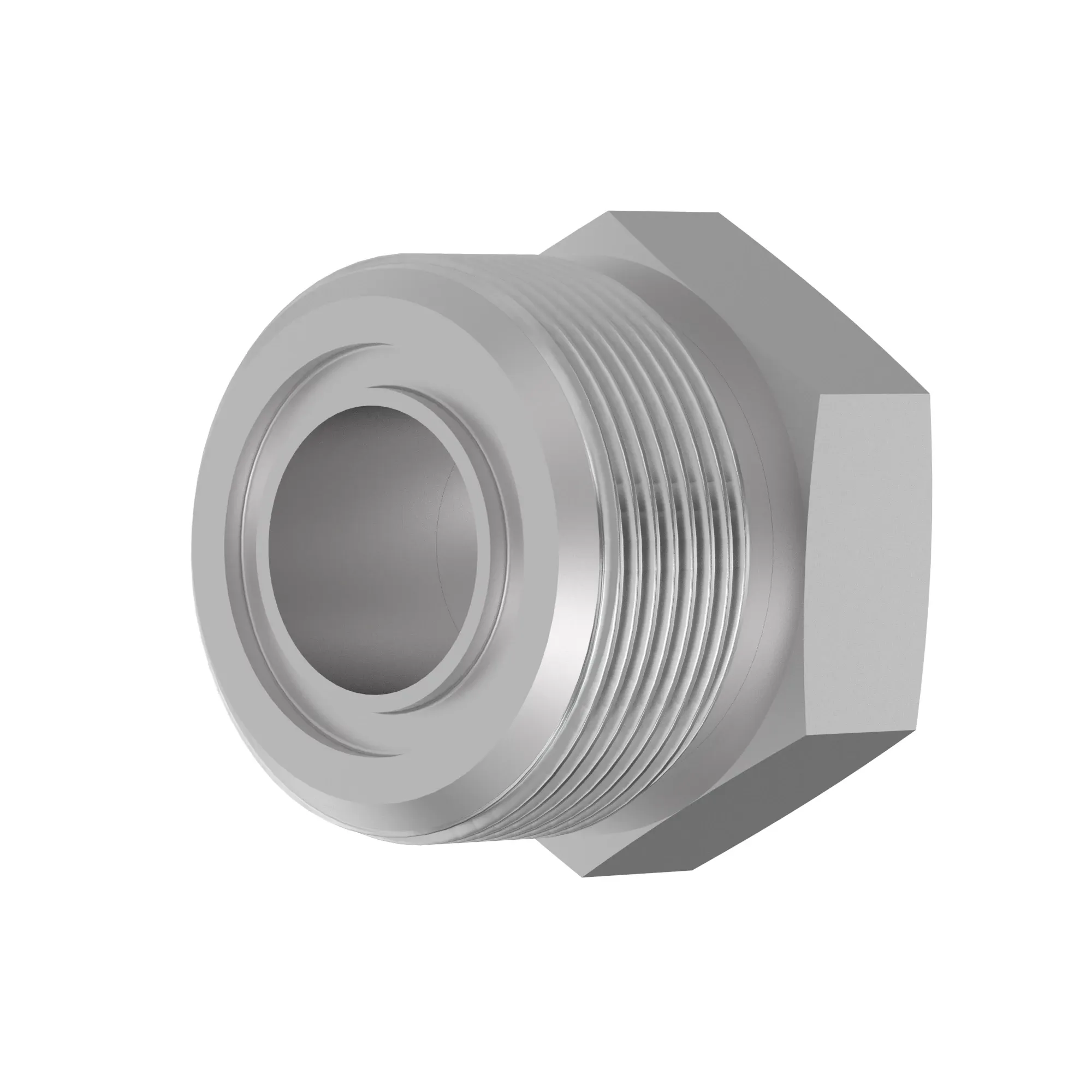 Fitting Plug