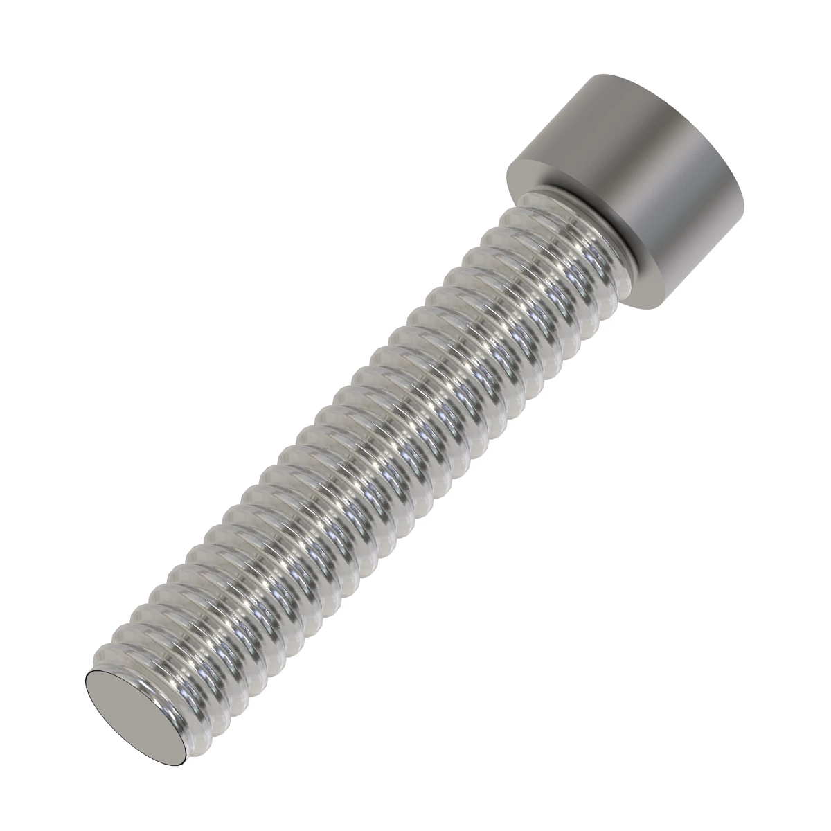 Screw, Hex Socket Head, Metric