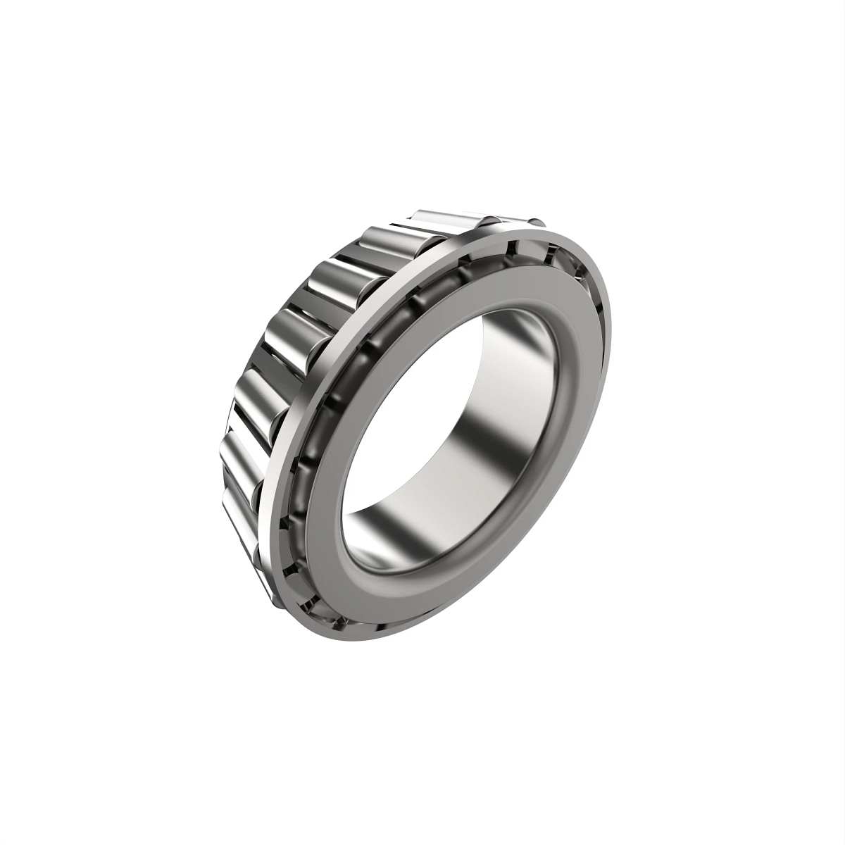 Cone-Bearing