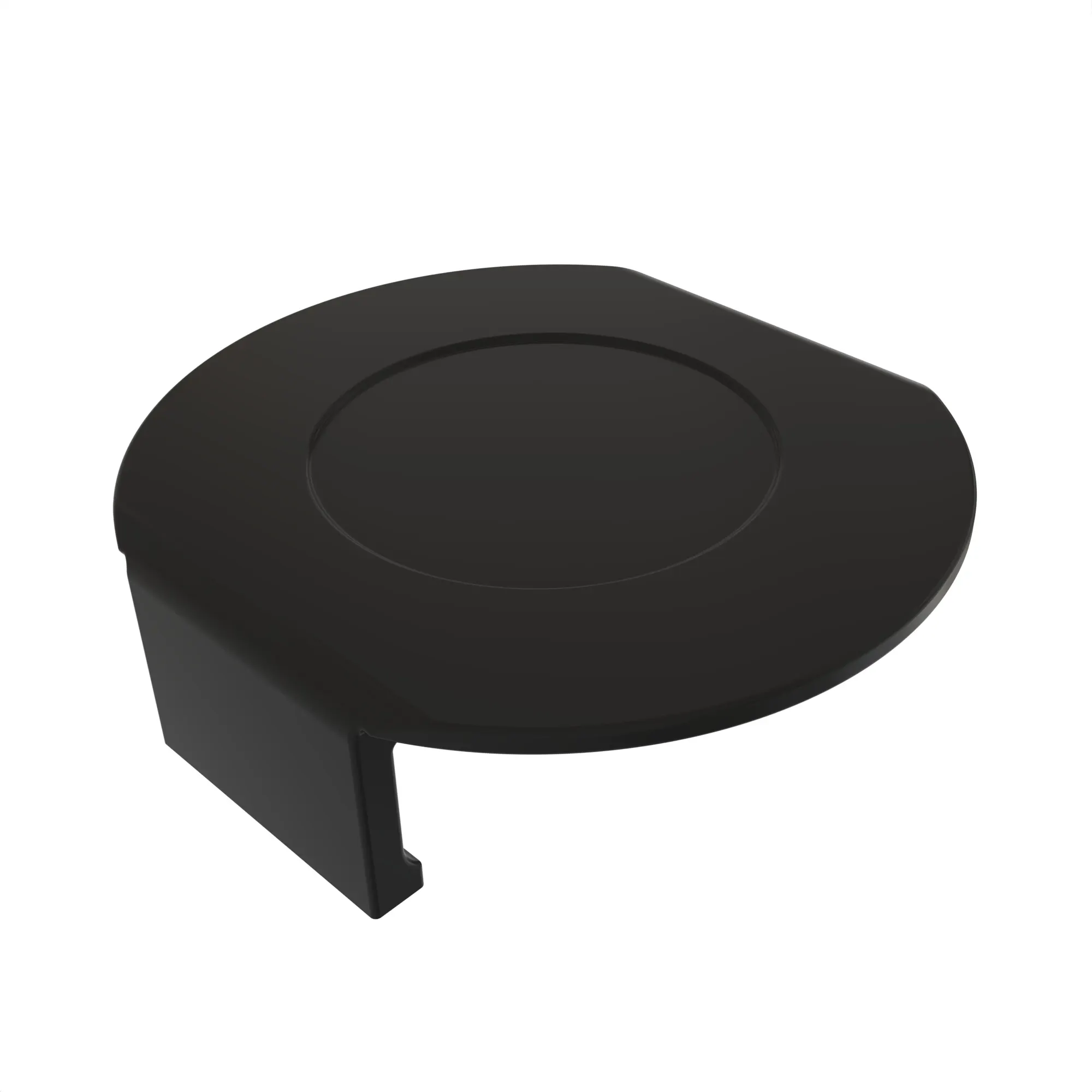 CAP PLUG (DBL DISK)