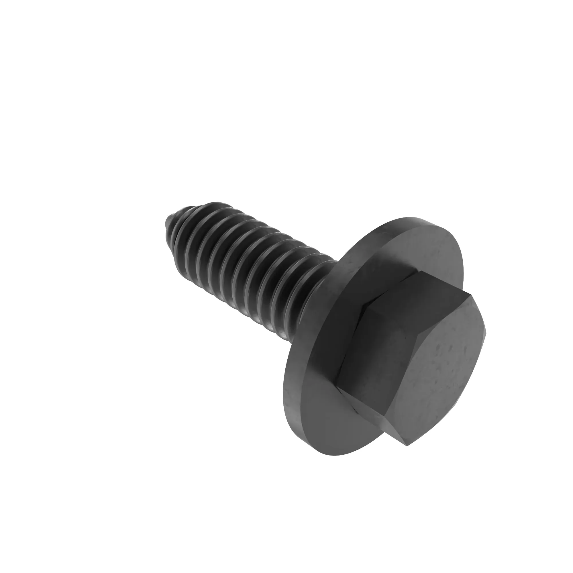 Screw With Washer