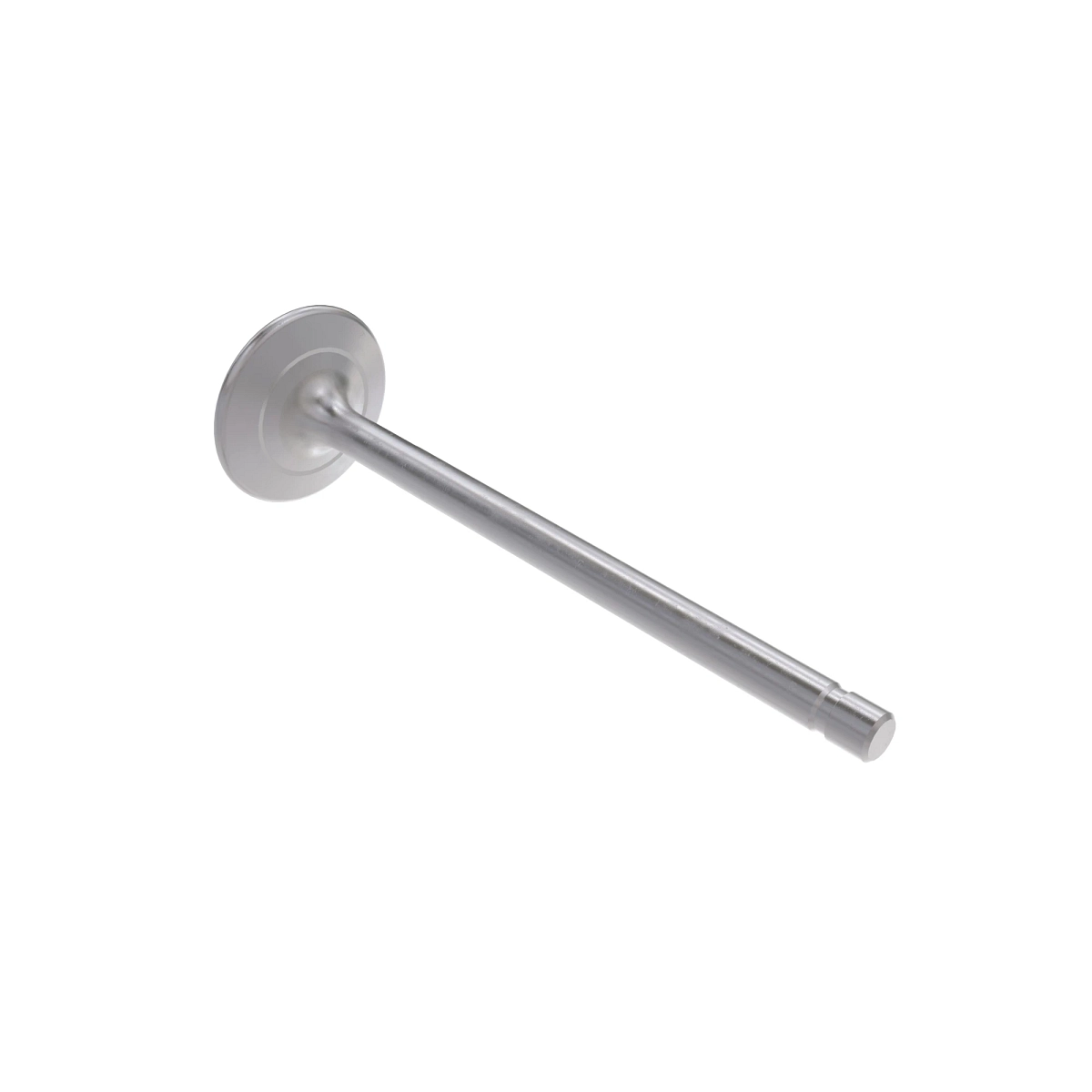 Exhaust Valve