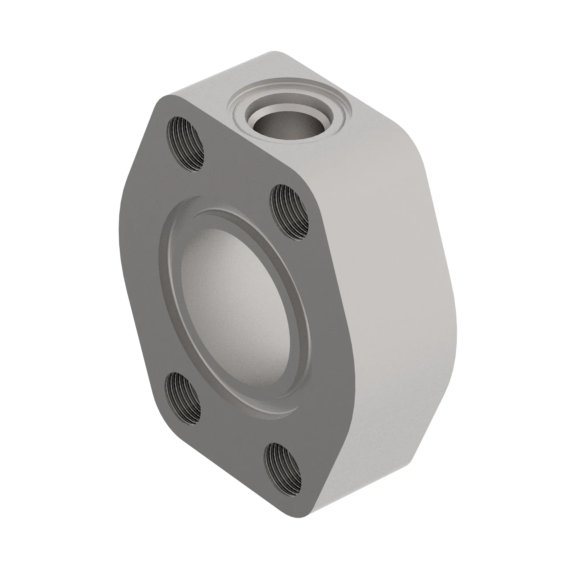 ADAPTER FITTING, CODE 61 SPACER WIT