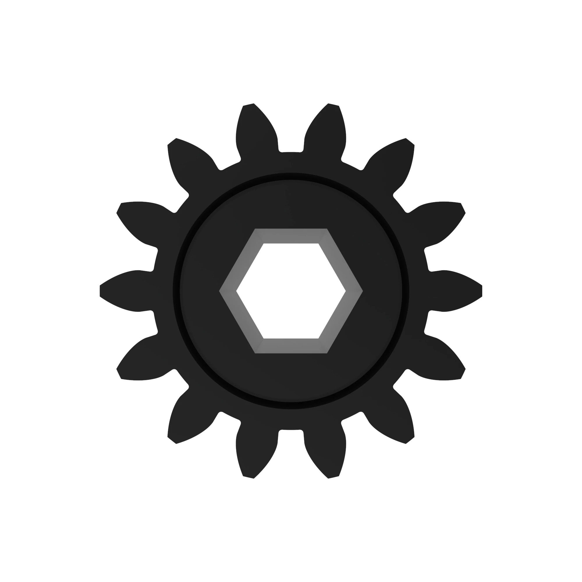 Spur Gear