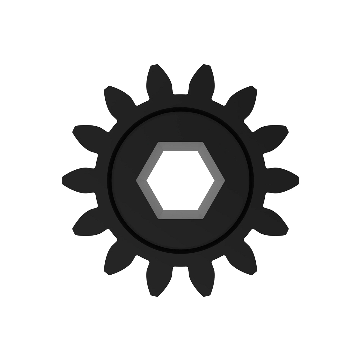 Spur Gear