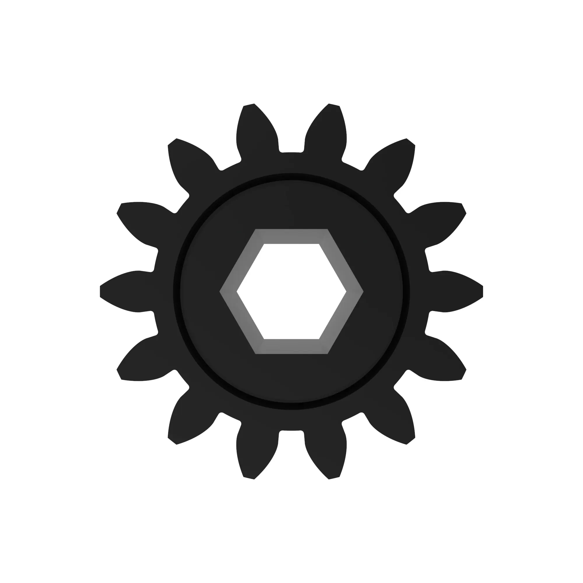 Spur Gear
