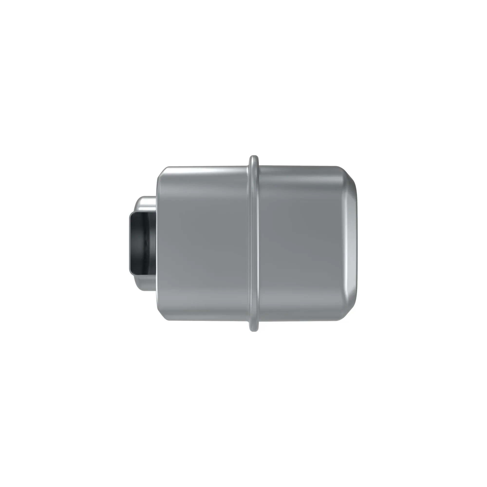 Muffler