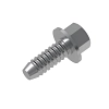 Screw