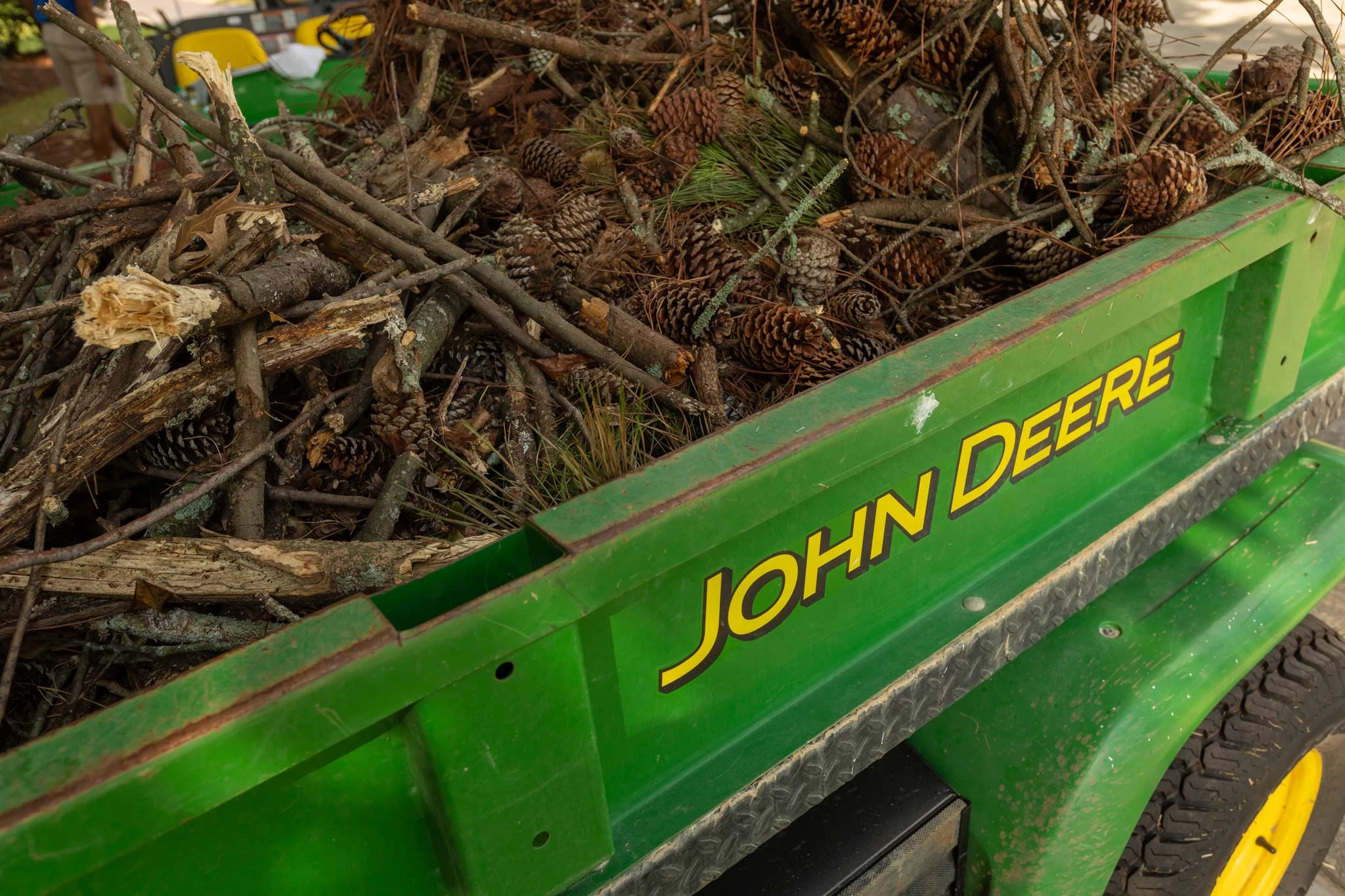 Side close-up of a 2020A ProGator's green cargo box filled with sticks and pinecones, with yellow "John Deere" decal on display.