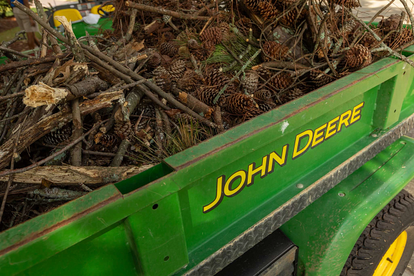 Side close-up of a 2020A ProGator's green cargo box filled with sticks and pinecones, with yellow 