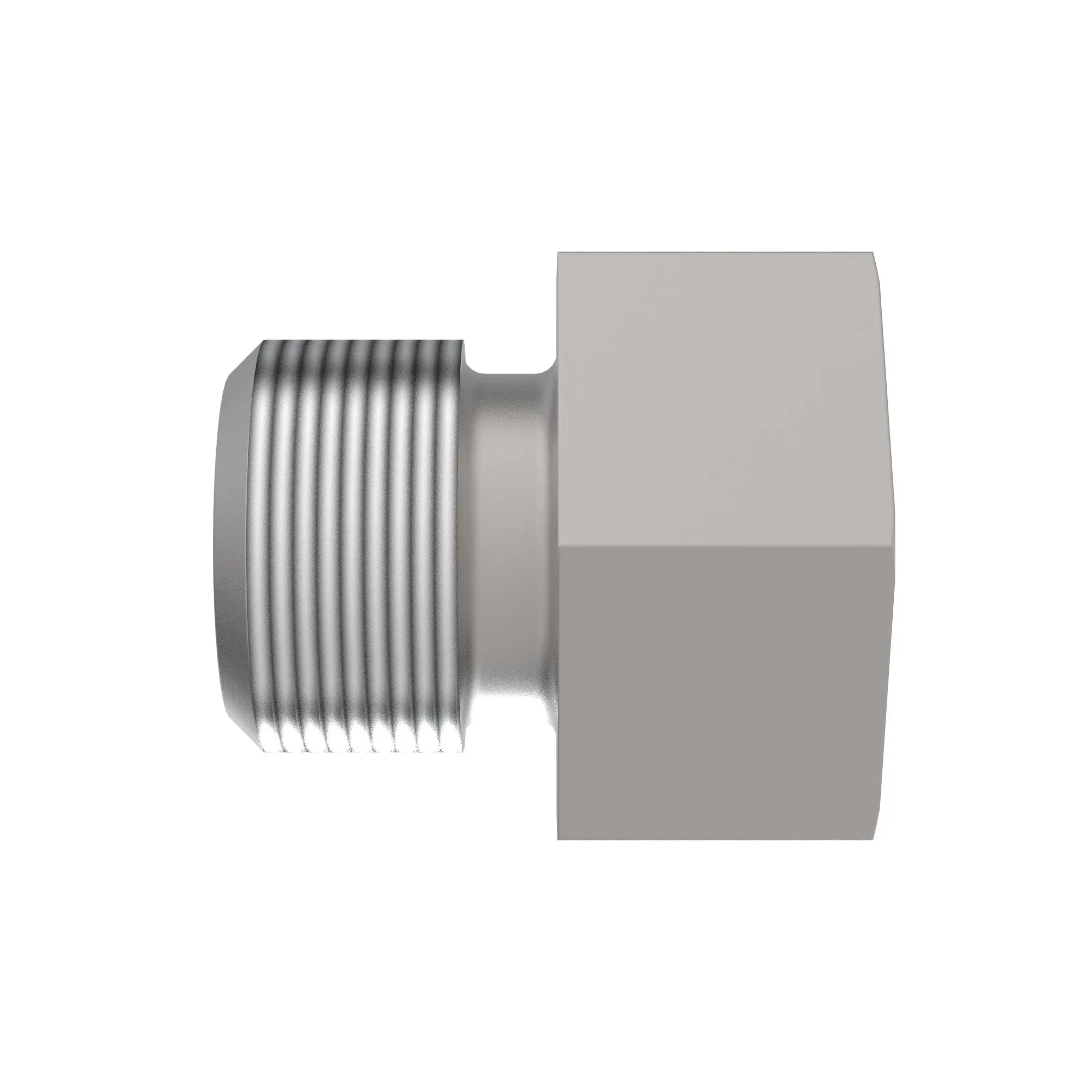 Fitting Plug