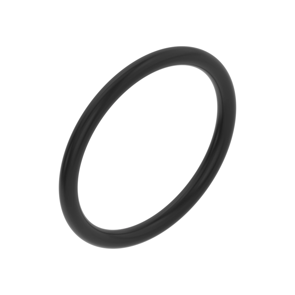 O-Ring 21.89X262