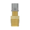 Drain Valve