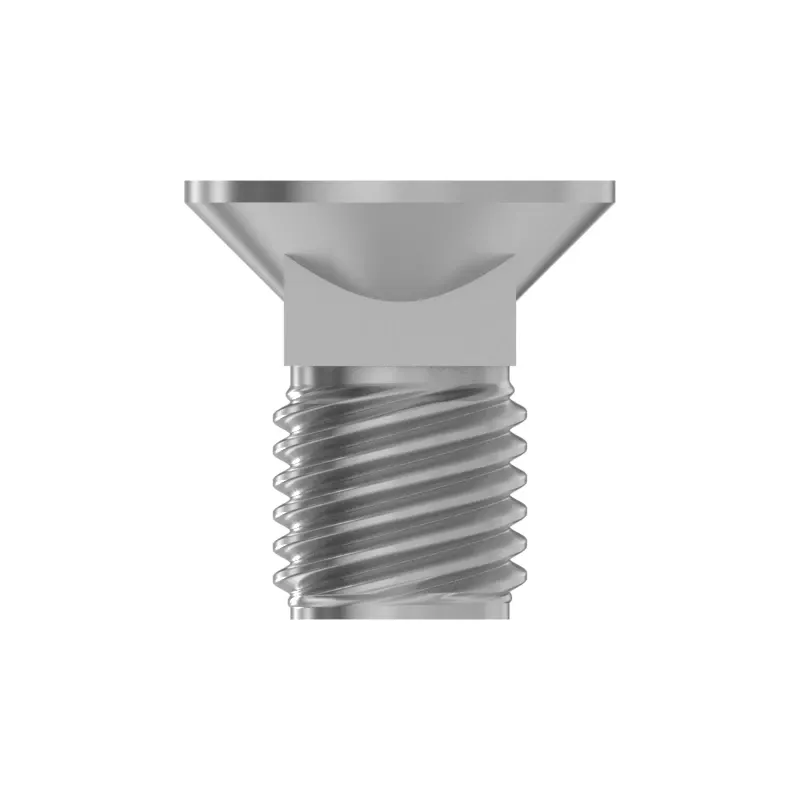 Bolt