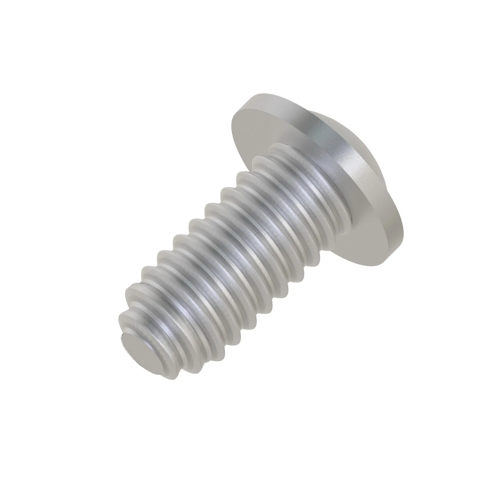 OVAL HEAD CAP SCREW F 5X12 DIN7981