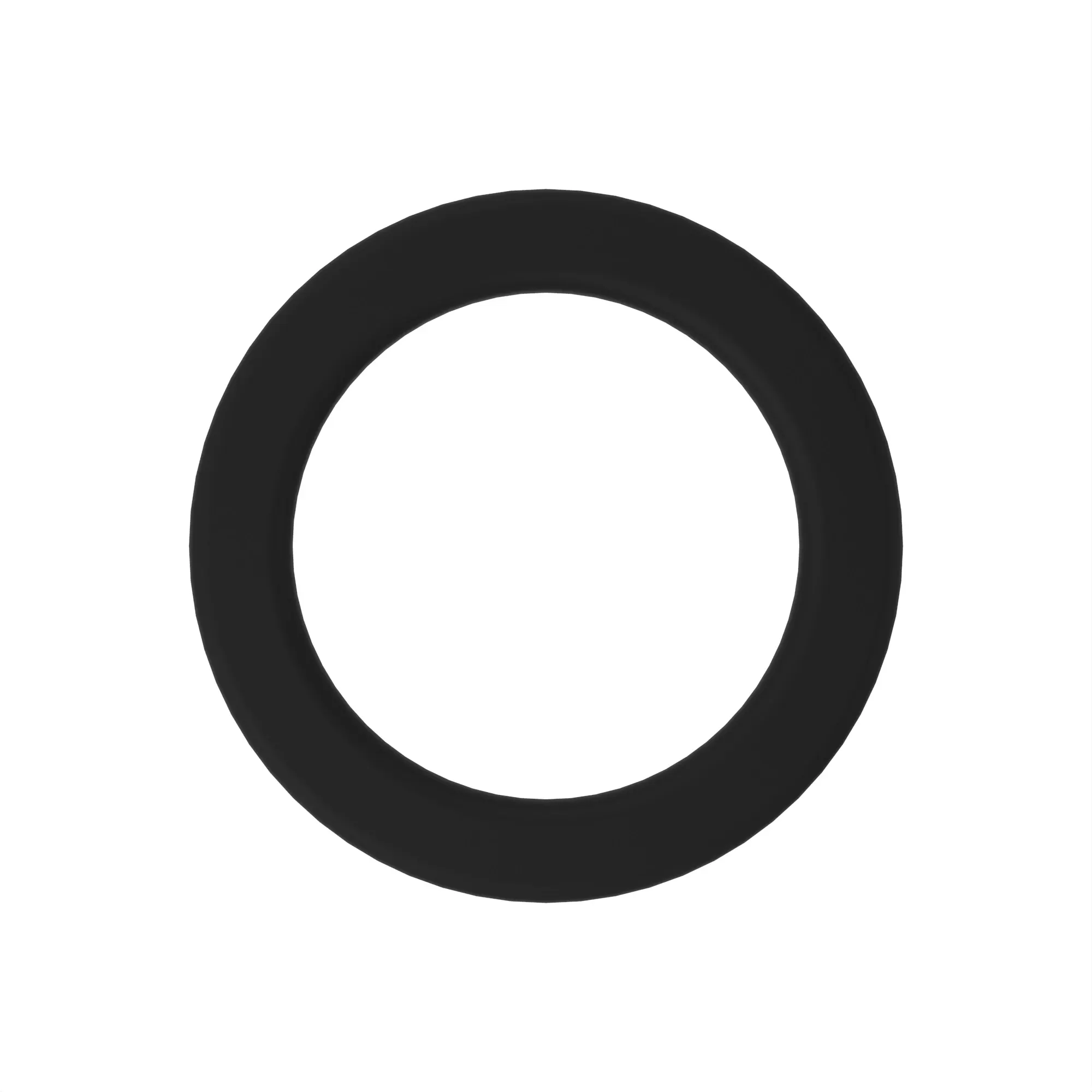 O-RING