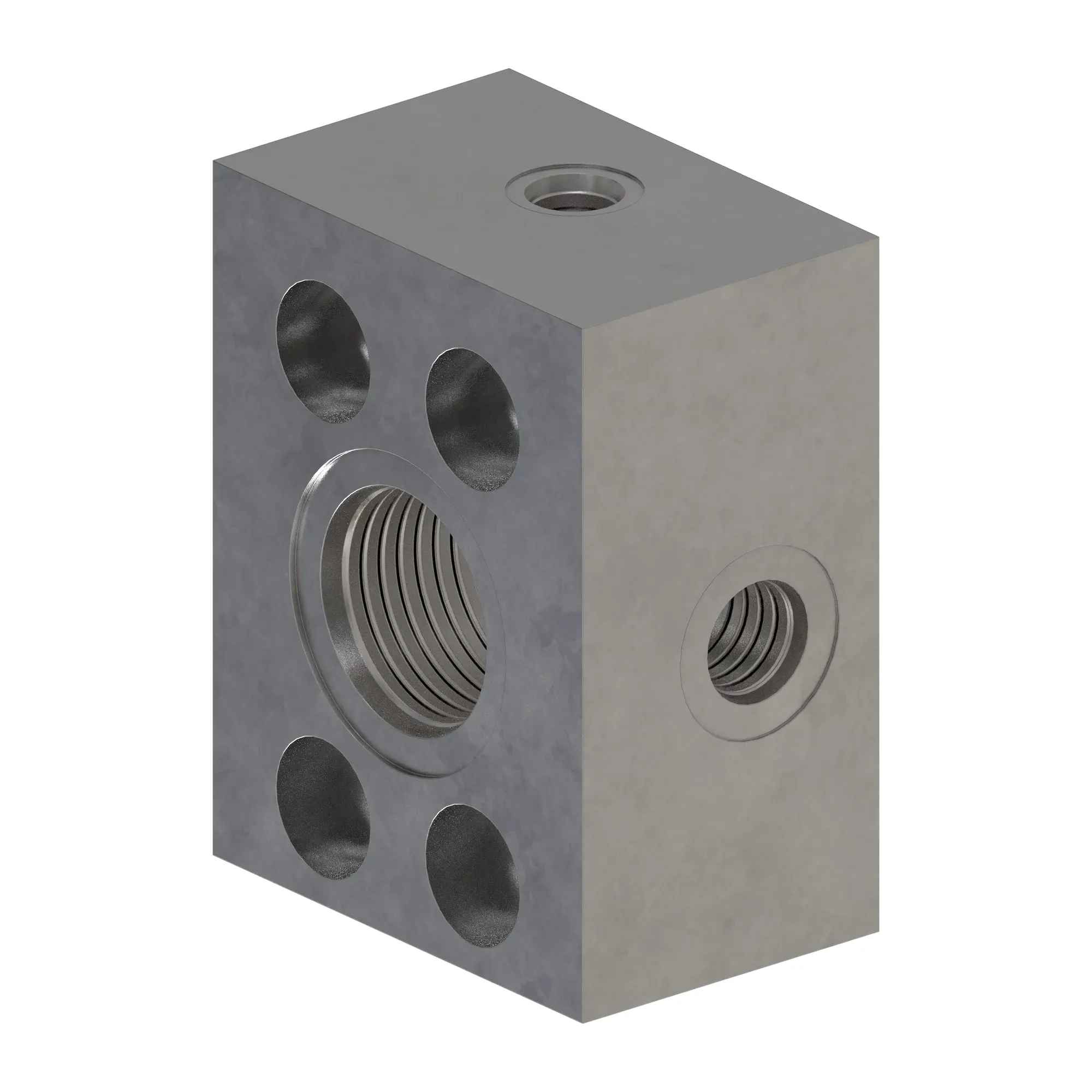 Manifold