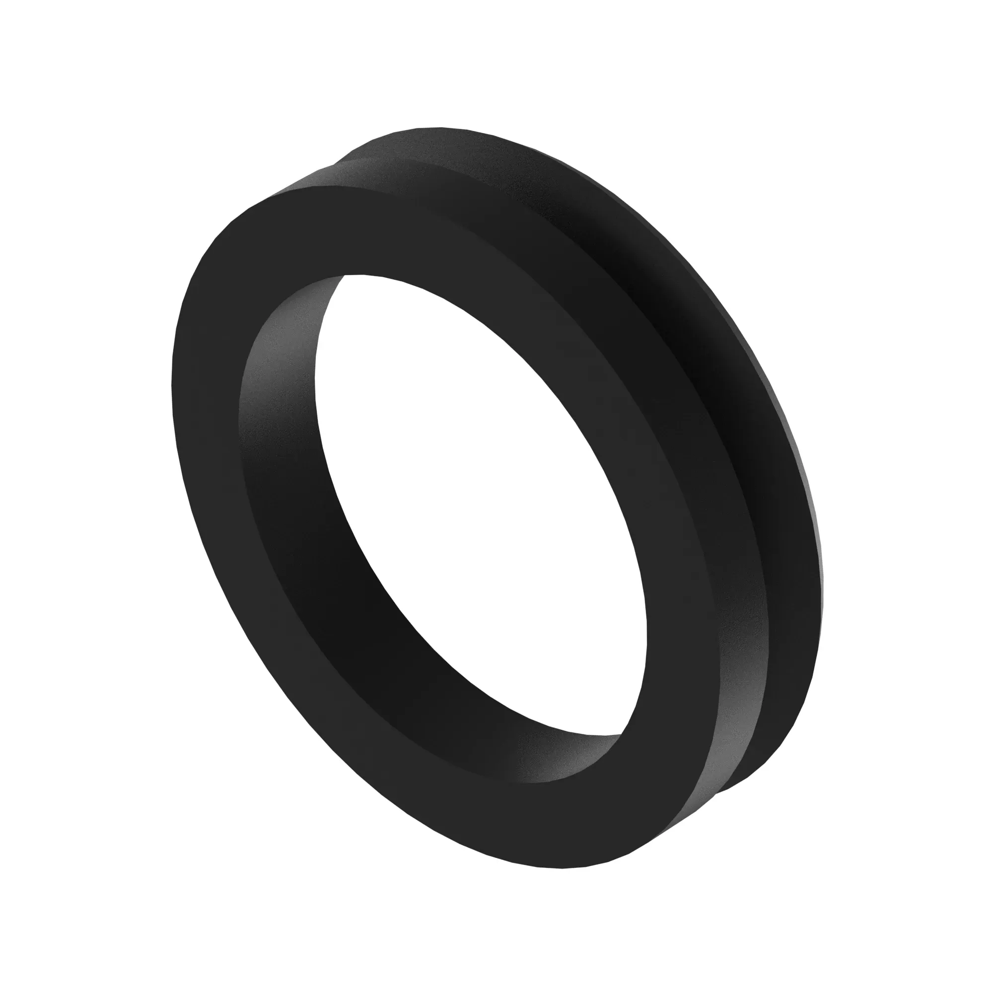 SEAL, V-RING