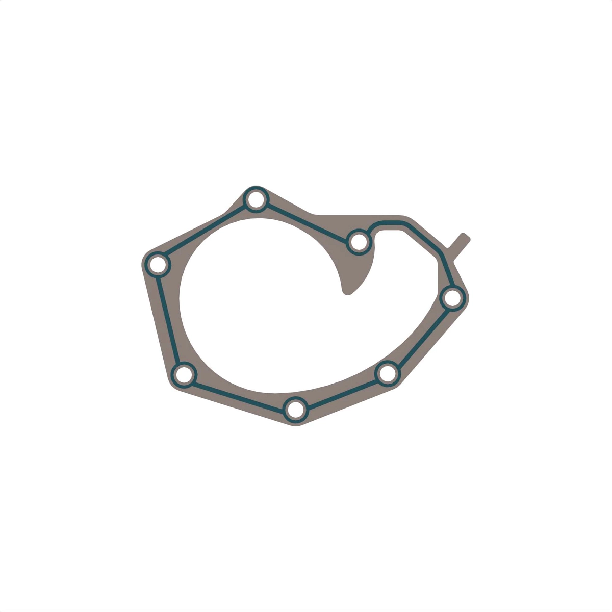 Gasket, Water Pump - Bs IV
