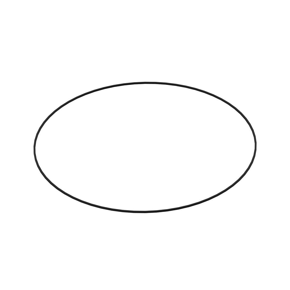 O-Ring