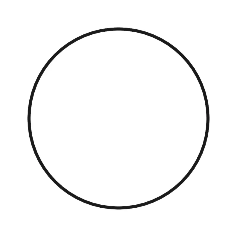 O-Ring