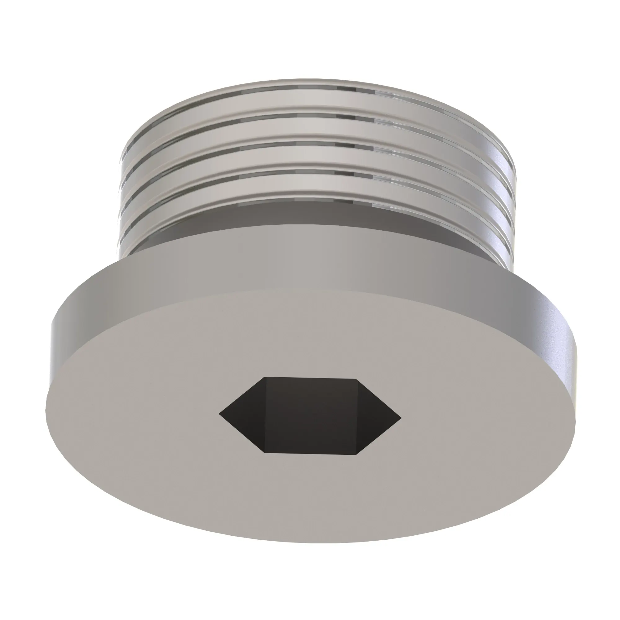 Fitting Plug