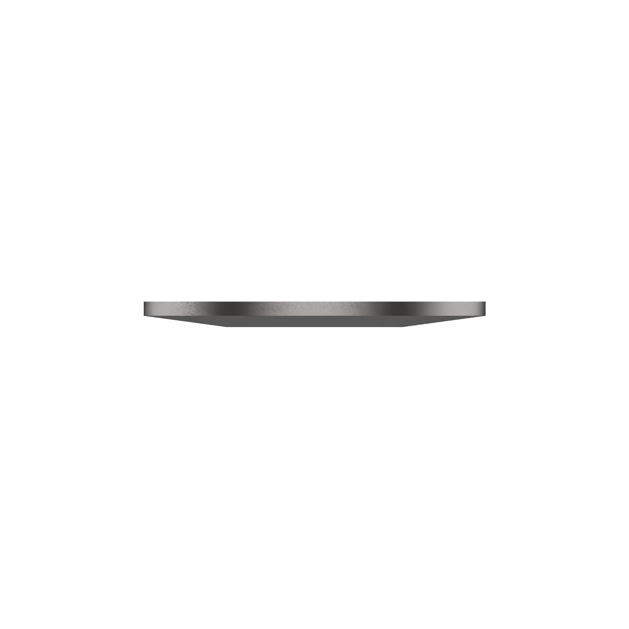 Disk Spring