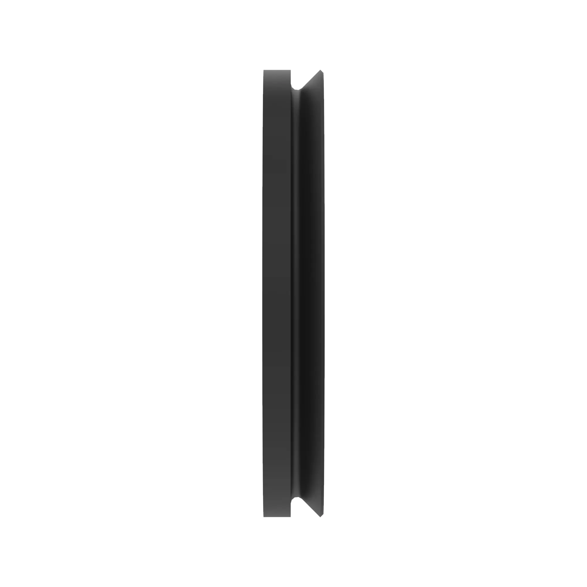 V-Ring Seal