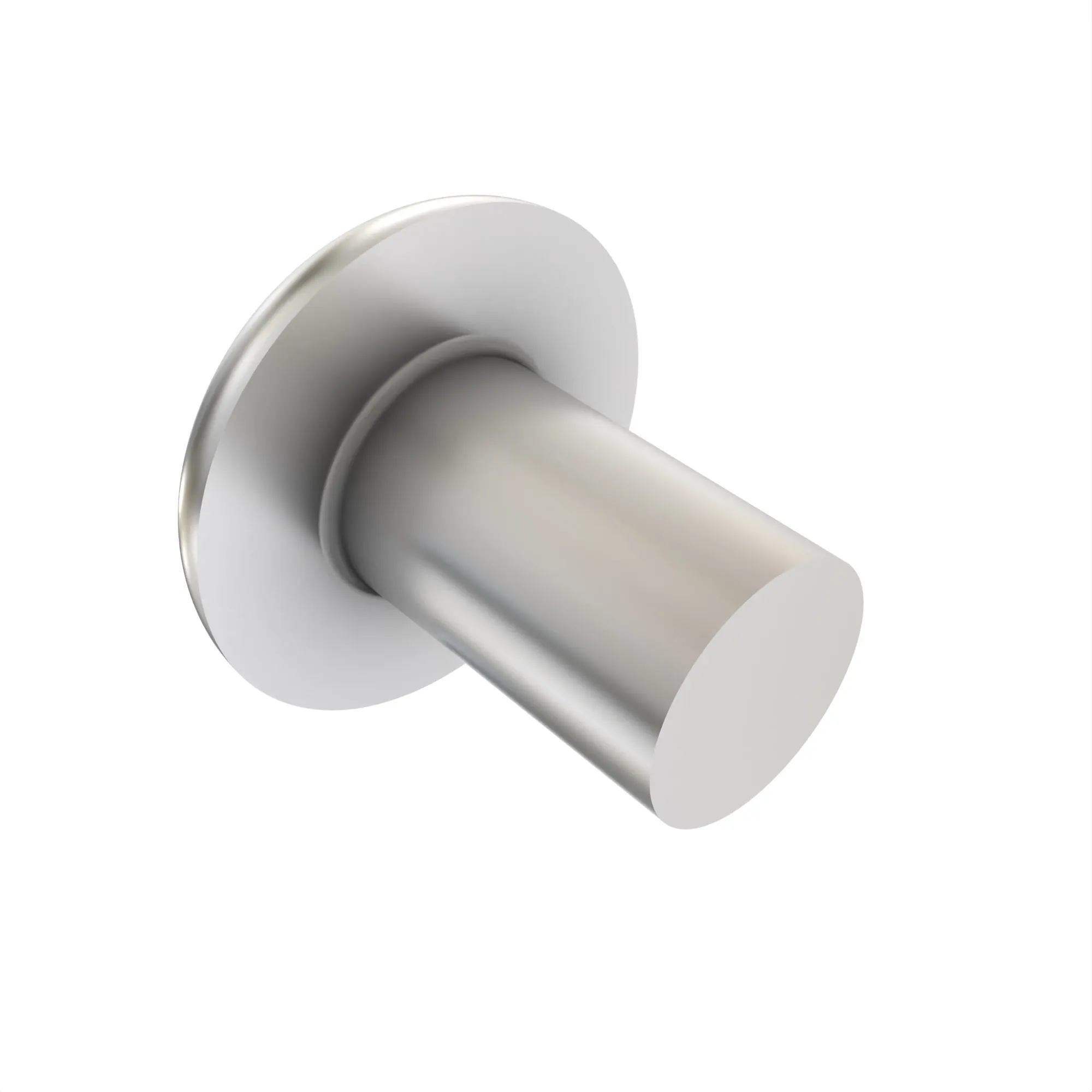 Rivet