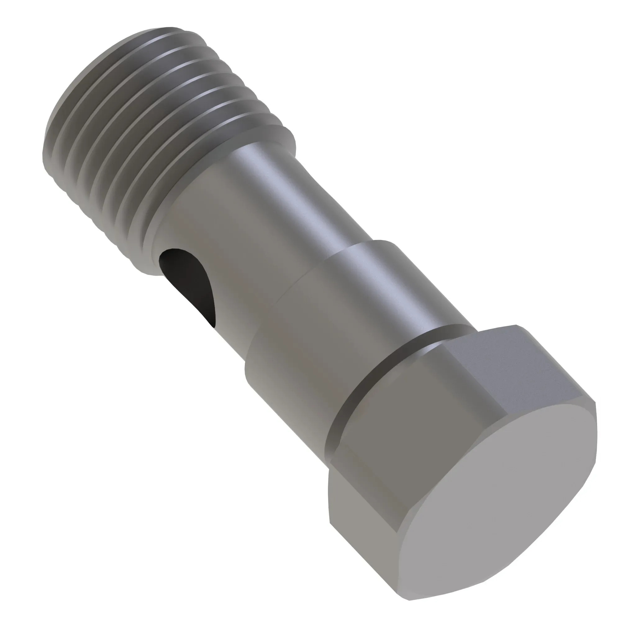 Hollow Screw