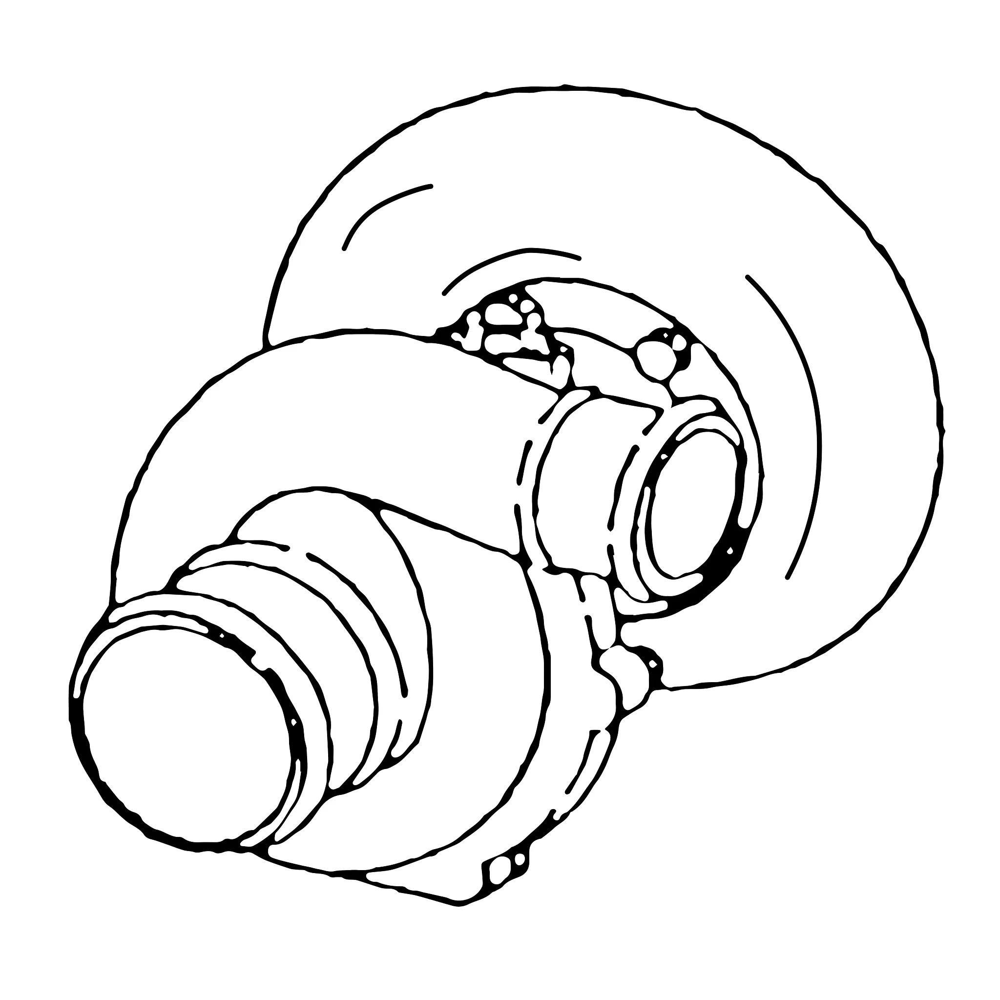 John Deere Reman REMAN Turbocharger - SE500252
