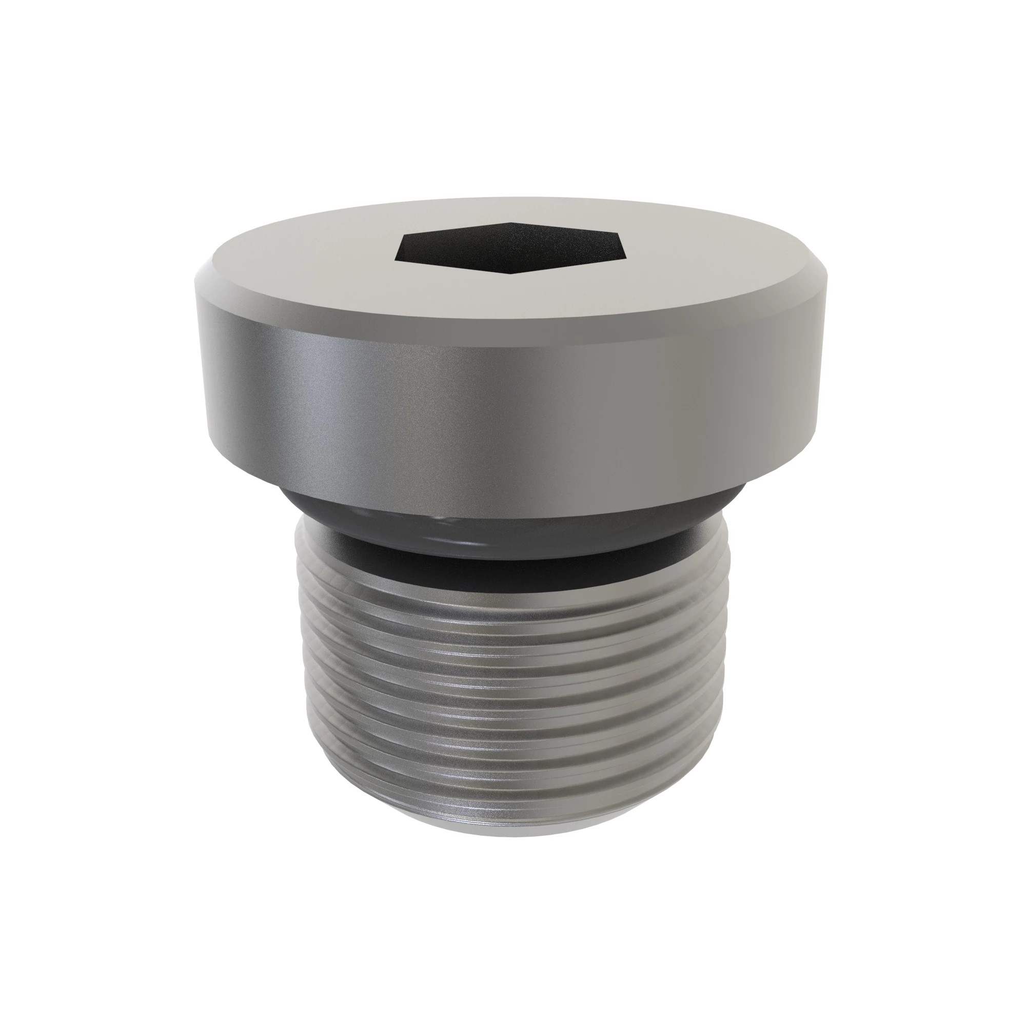FITTING PLUG, SOCKET HEAD WITH O-RI