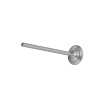Intake Valve