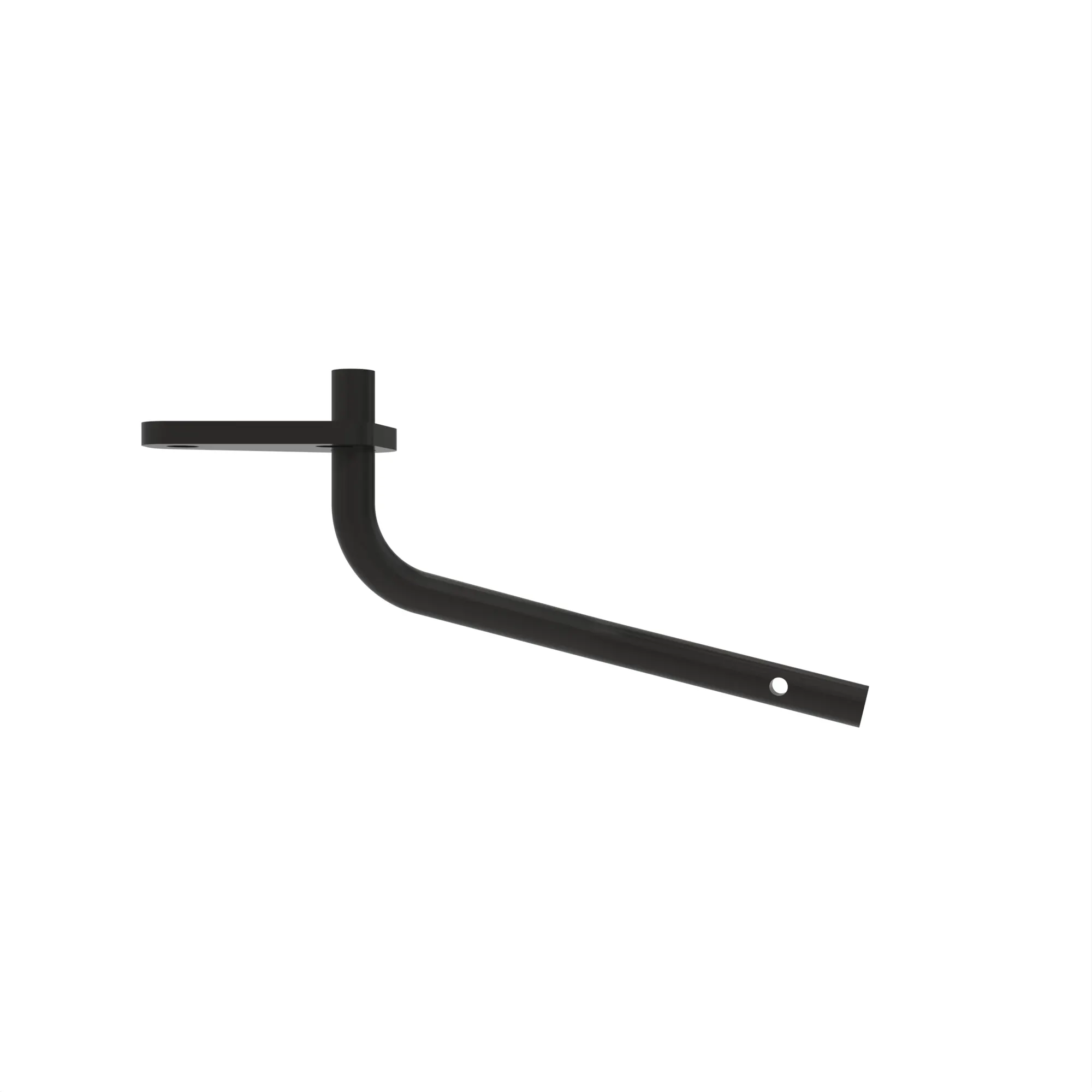 arm