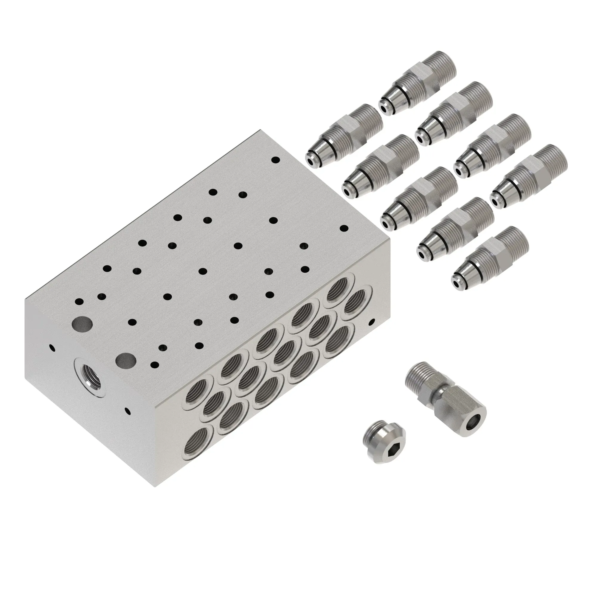 Manifold Kit