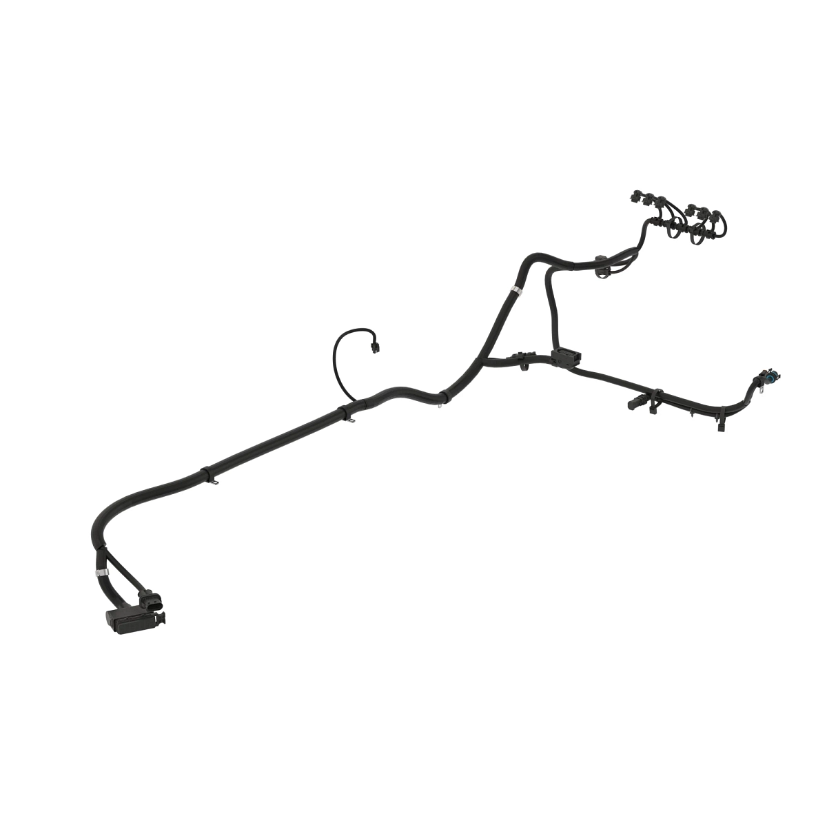 Wiring Harness, F11