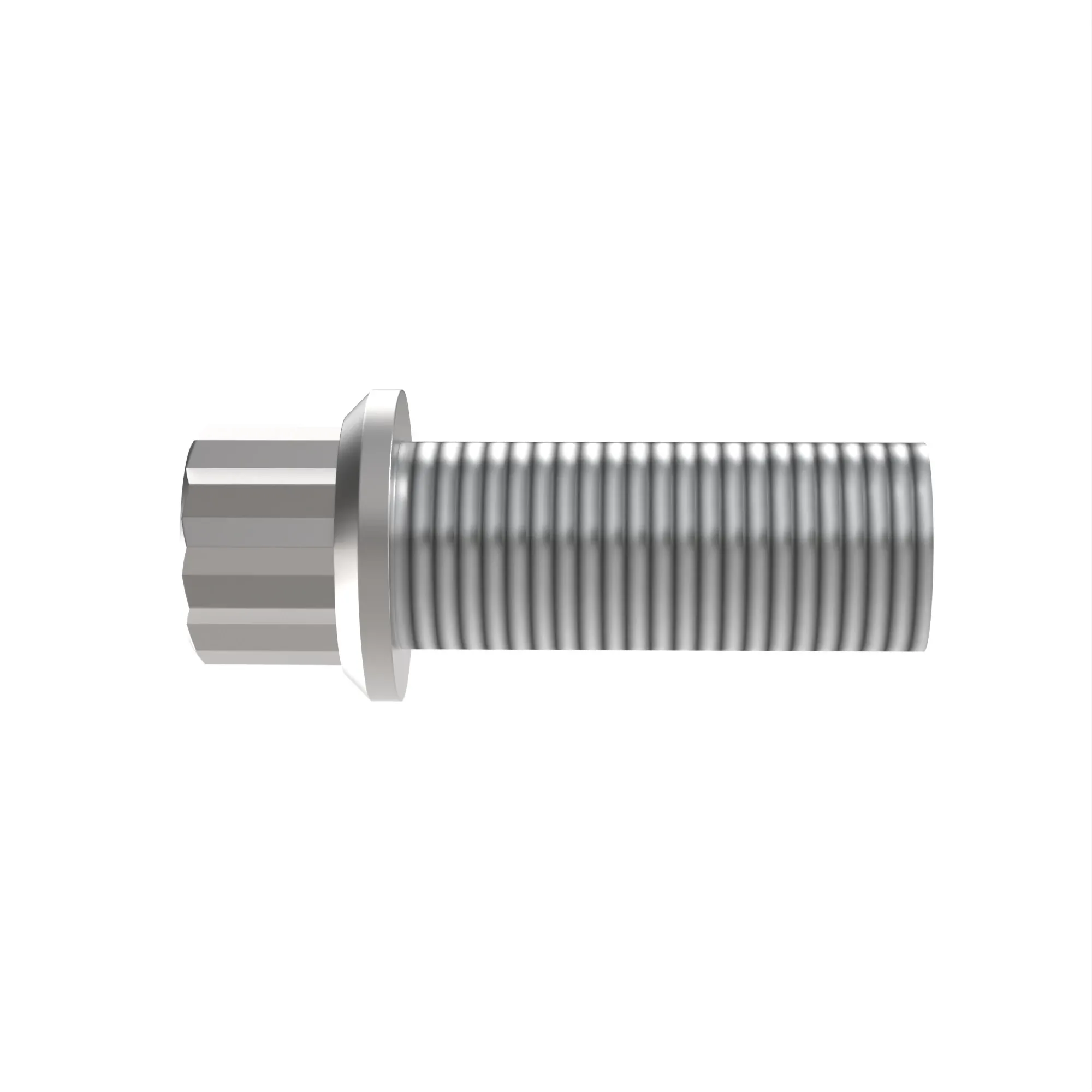 Bolt