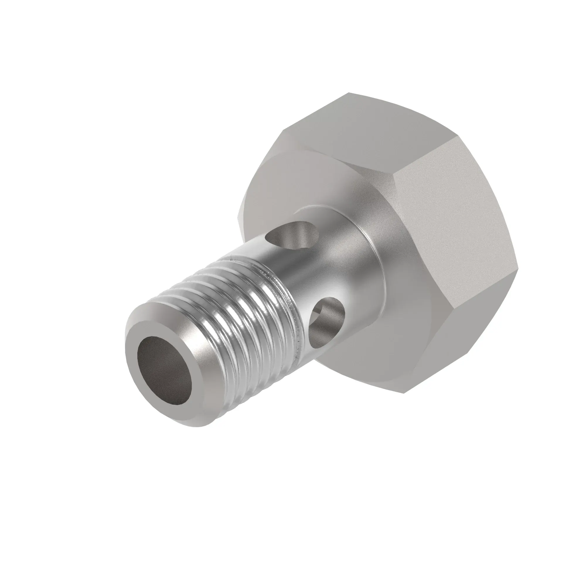 HOLLOW SCREW, BANJO SCREW M10X1.0
